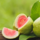 Exploring the Nutritional and Culinary Wonders of Guava